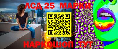 дмт Камышлов
