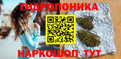 дмт Камышлов