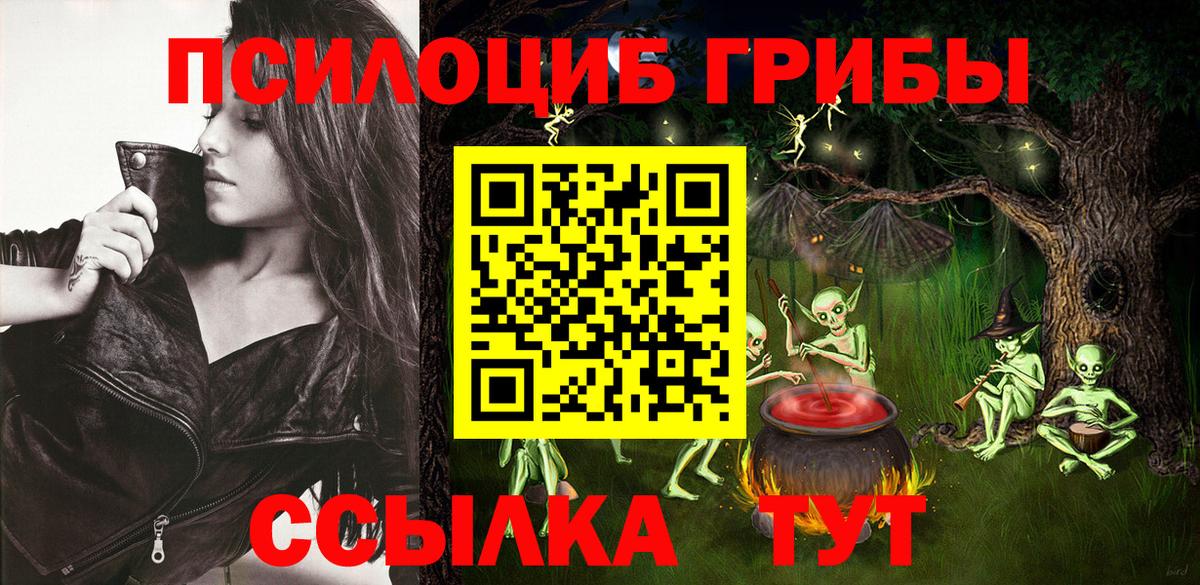 Псилоцибиновые грибы Psilocybe Зеленогорск