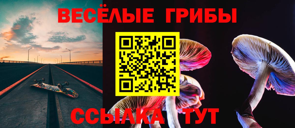 Псилоцибиновые грибы Magic Shrooms  Вход с VPN  Зеленогорск 