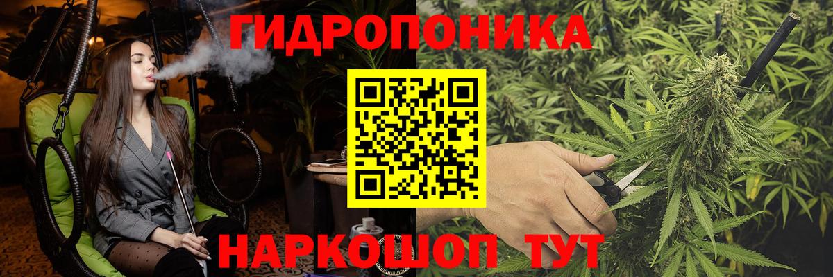 COCAIN Зеленогорск